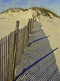 blue dune